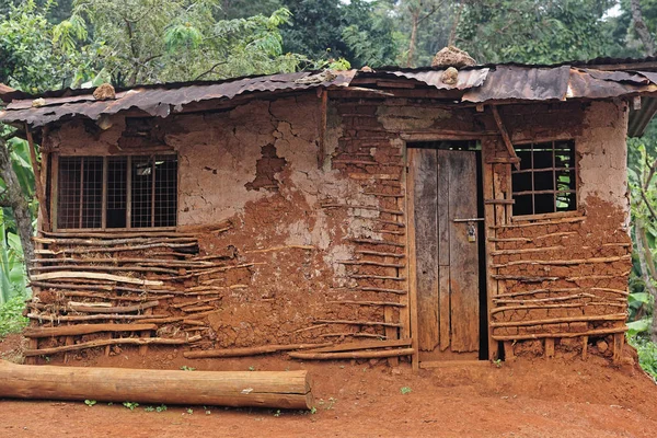 Mud house hut in jungle of east Africa