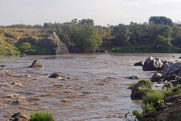 Mara River Wilde Natuur Kenia Afrika — Stockfoto