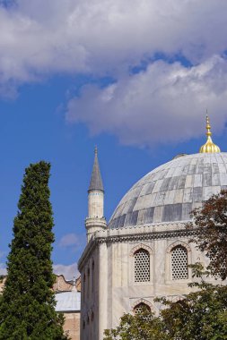 Istanbul Türkiye'de altın top ile Camii kubbe