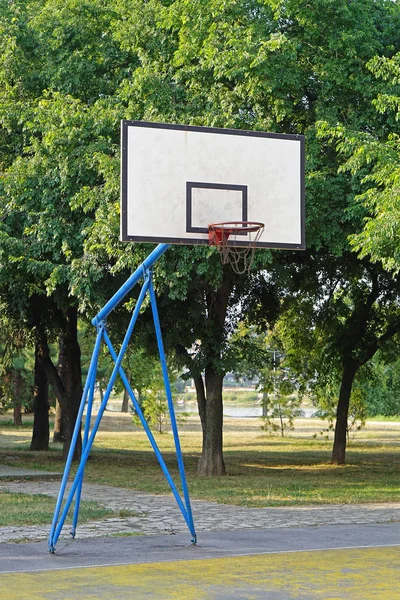 Egy Szabadtéri Sport Kosárlabda Tábla Kosárlabda Háló Erdőben — Stock Fotó