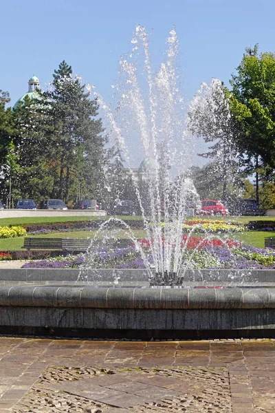 Fontána Vodního Paprsku Parku Bělehrad Srbsko — Stock fotografie
