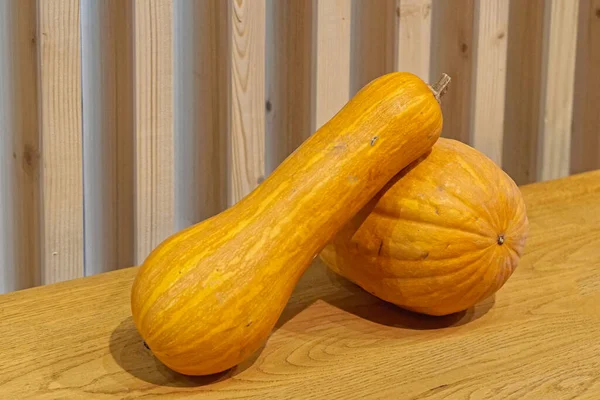 Two Squash Vegetables Shelf Decor — Stock Photo, Image