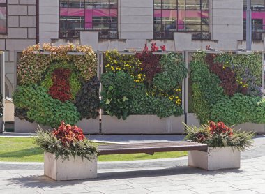 Şehir parkında duvarlar dikey bahçe yapıyor.