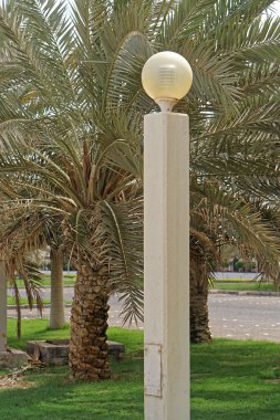 Kuveyt parkında lamba direği ve palmiye ağaçları