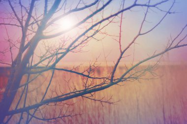 Bir rüya gibi kış dawn ve bir güzel kış renk paleti