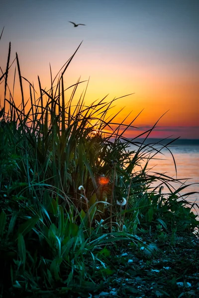 Západ Slunce Pláži — Stock fotografie