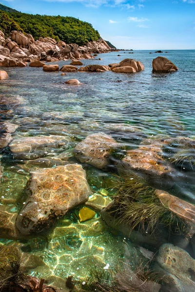 View of the seashore with large stones under water and algae