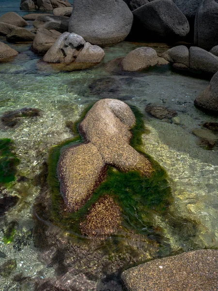 Strand Und Küste Mit Großen Steinen Und Algen — Stockfoto