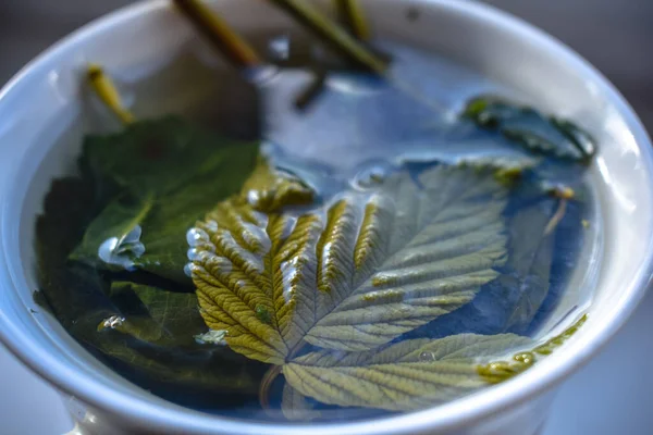 Caneca Cerâmica Branca Com Chá Verde Framboesa Folhas Groselha Nele — Fotografia de Stock