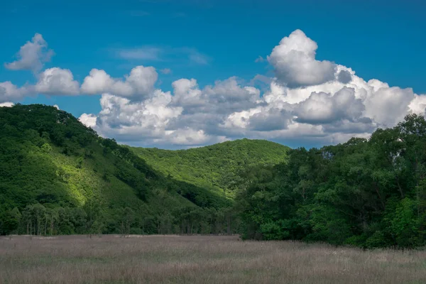 Paisaje Verano Con Verdes Prados Colinas Cielo Azul Con Nubes — Foto de Stock