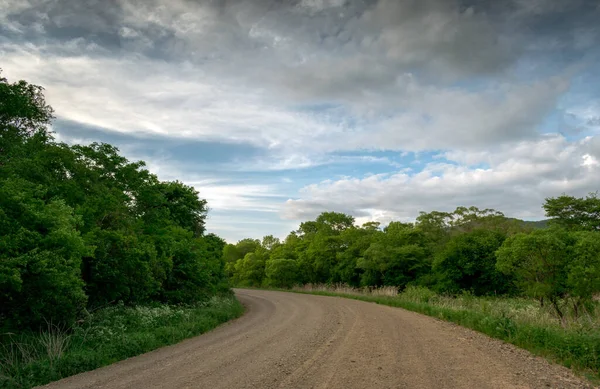 森の中の田舎や雲に覆われた空への道 ロイヤリティフリーのストック画像