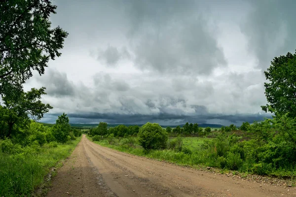 広い森の道と嵐の雲と空の風景 — ストック写真
