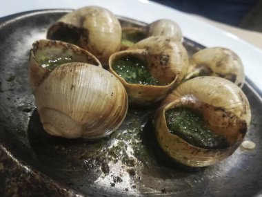 Salyangoz de bourgogne, Paris, Fransa, Haziran 2018.