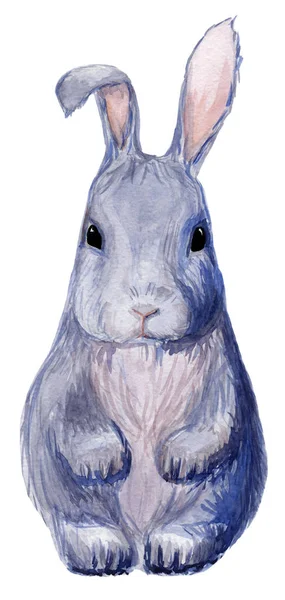 Mignon Dessin Main Bleu Lapin Aquarelle Illustration — Photo