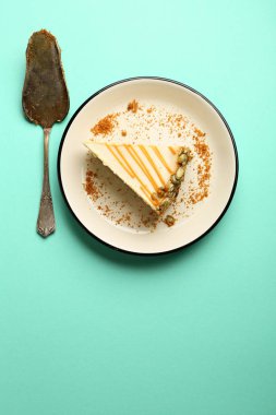 Bir parça taze peynirli kek, gıda portre