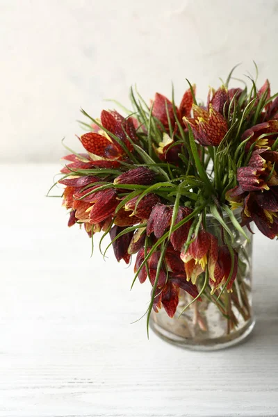 Весняні Квіти Склі — стокове фото