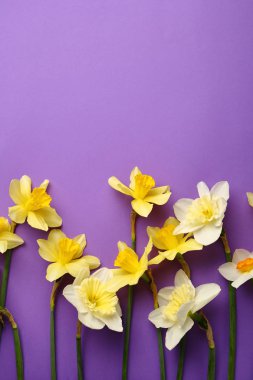 Çiçekler çok güzel arka plan, düz yatıyordu