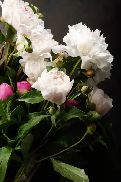 Peonías Frescas Blancas Rosa Flores Vista Superior —  Fotos de Stock