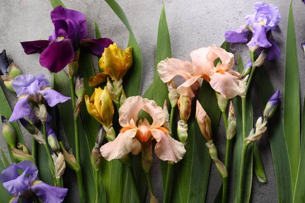 Güzel Çiçekler Tatil Kavramı Ile Gri Arka Plan — Stok fotoğraf