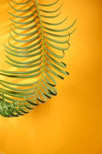 Тропический Желтый Фон Зелеными Листьями — стоковое фото