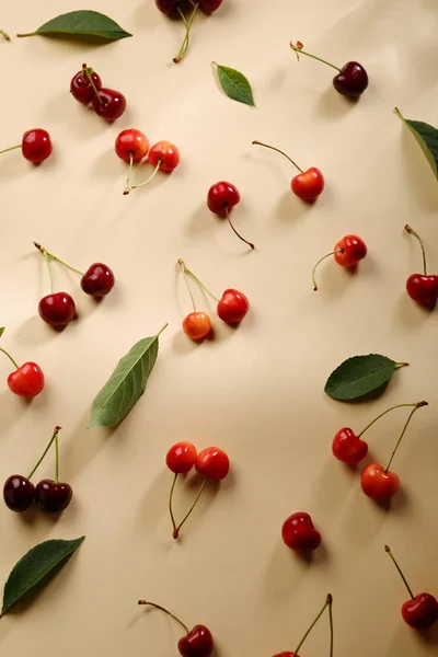 Rica Cosecha Cerezas Frescas Comida Plana Laica — Foto de Stock