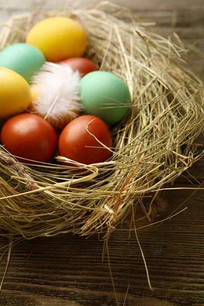 复活节彩蛋在巢 假日概念 — 图库照片