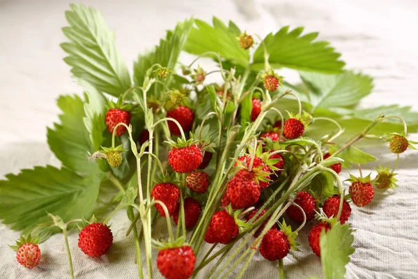 Ramo Fresas Silvestres Maduras Comida Cerca —  Fotos de Stock