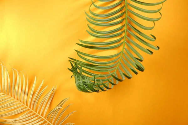 Тропические Листья Фона Желтый — стоковое фото
