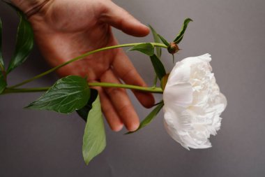 El ile çiçek arka plan