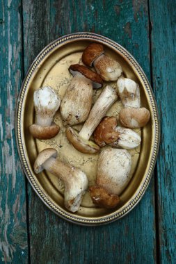 Tepside beyaz mantar