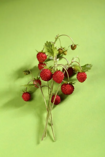 Frische Walderdbeeren Auf Grün — Stockfoto