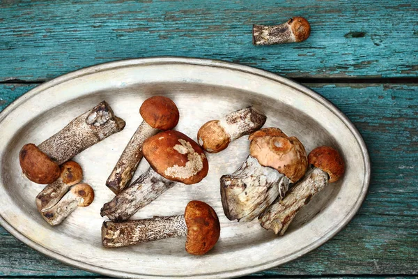 Orman mantar hasat vintage plaka üzerinde