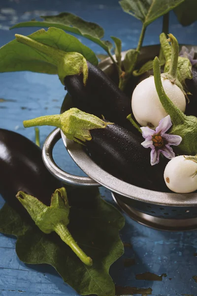 Melanzane fresche bianche e nere in colabrodo — Foto Stock