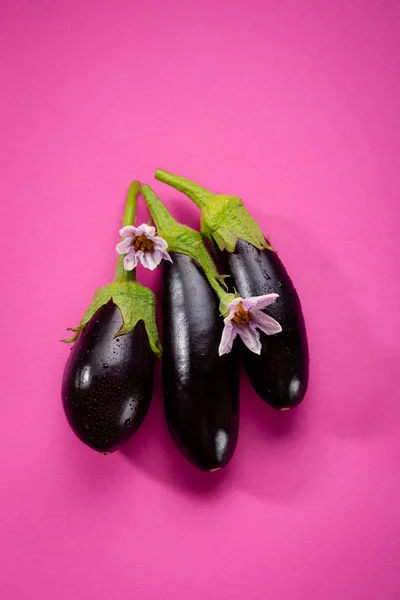 Свежие Черные Баклажаны Цветы Еда Крупным Планом — стоковое фото