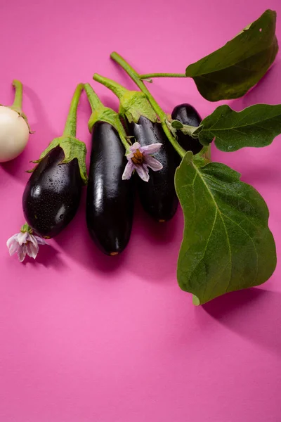 Frische Schwarze Auberginen Nahrung — Stockfoto