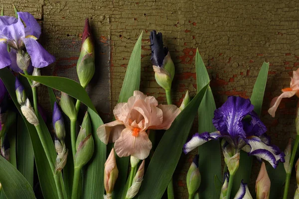 Iris Blumen Auf Grünem Holz Hintergrund — Stockfoto