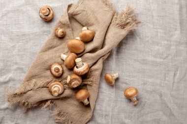 Taze çiğ mantar üstten görünüm