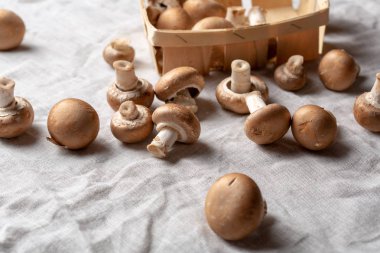Taze çiğ champignon kutudan mantar