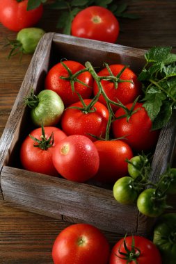 Kırmızı domates ve pembe domates dalı