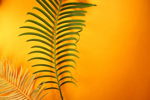 Желтый Фон Тропическим Зеленым Листом — стоковое фото
