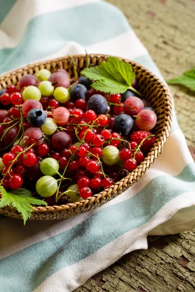 Bagas Verão Orgânicas Frescas Cesta — Fotografia de Stock