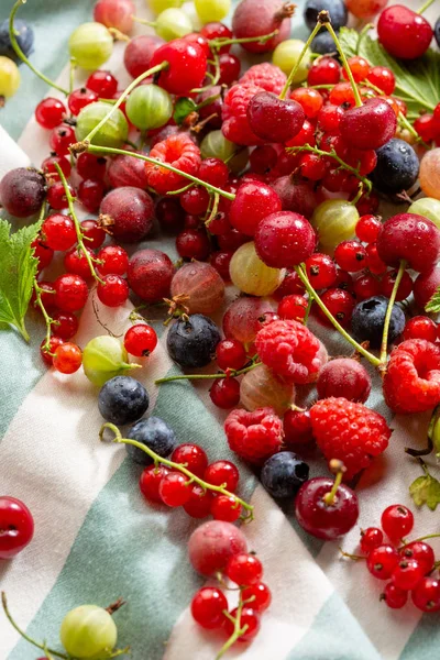 Mix Świeżych Lokalnych Berry — Zdjęcie stockowe