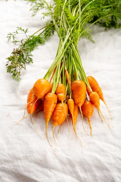 Bunch Fresh Carrots — Stock Photo, Image