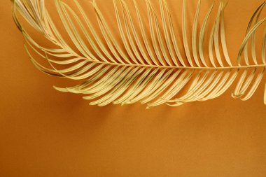 Sarı tropikal arka plan üstten görünüm