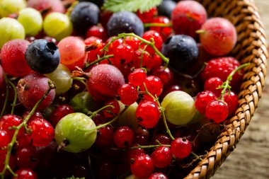 Hasat yaz berry Mix sepeti