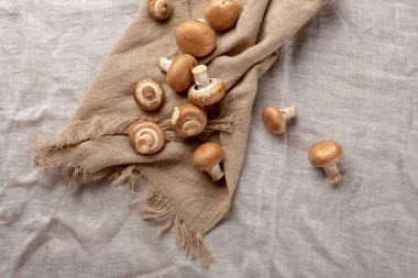 Champignon mantar üstten görünüm