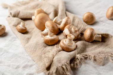 Champignon mantar yakın çekim