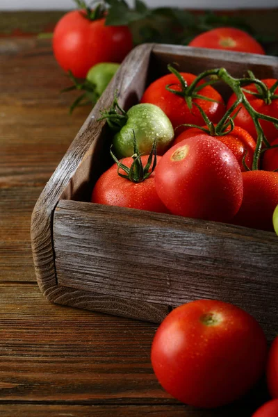 Tomates Rouges Fraîches Sur Branche Dans Caisse — Photo