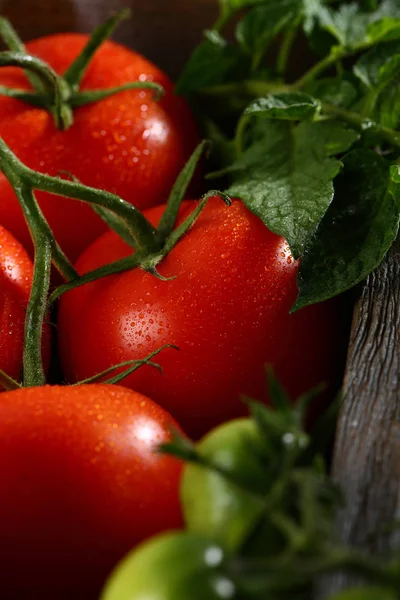 Tomates Frescos Ramo Caixa — Fotografia de Stock