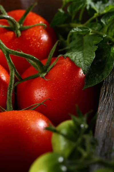 Fresh Tomatoes Branch Crate — Stock Photo, Image